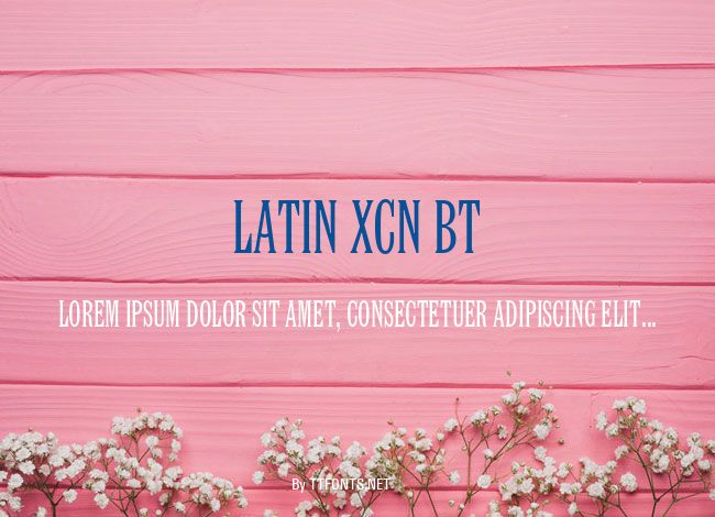 Latin XCn BT example